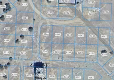 03cc2b63-0ff2-4b07-9d7b-21195c1c3c0c