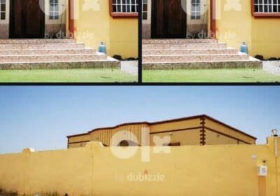 2a50d482-306b-49e9-a32c-a5b2a92d94fa