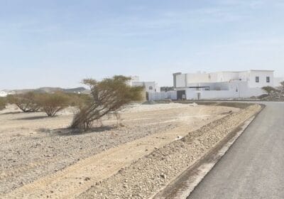 6ba6b5f2-fa8d-4c7d-b71e-ee6cdbcc8ede