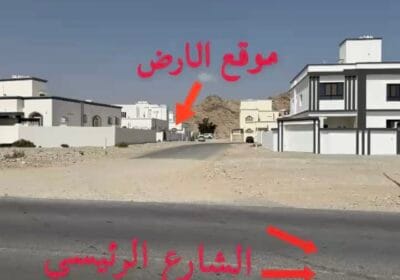 786DC8DE-CAC2-40F7-8213-97ADFB80C056