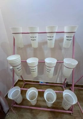 D72E3137-0DB3-4EB1-84B7-120BBFC483BB