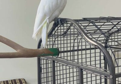 e06e5975-6e21-47c7-af48-775ad9336010