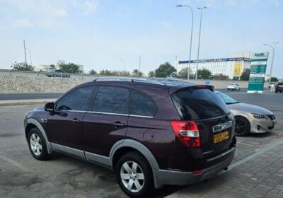 395f3d10-fce7-4d10-9947-88605995f886