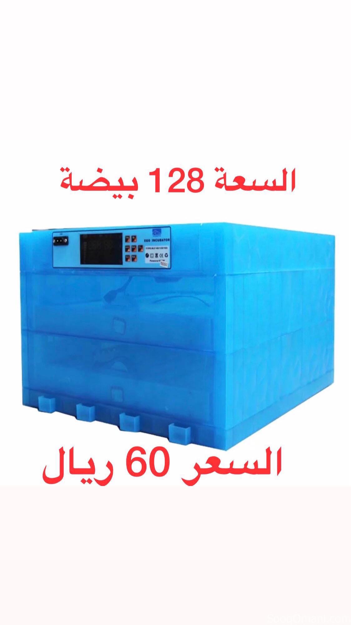 فقاسات بيض جودة ممتازة