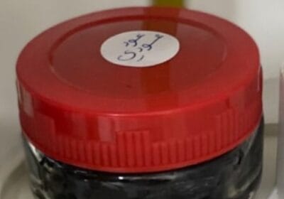 9f789745-e4f9-4100-a990-9b239eac36ff