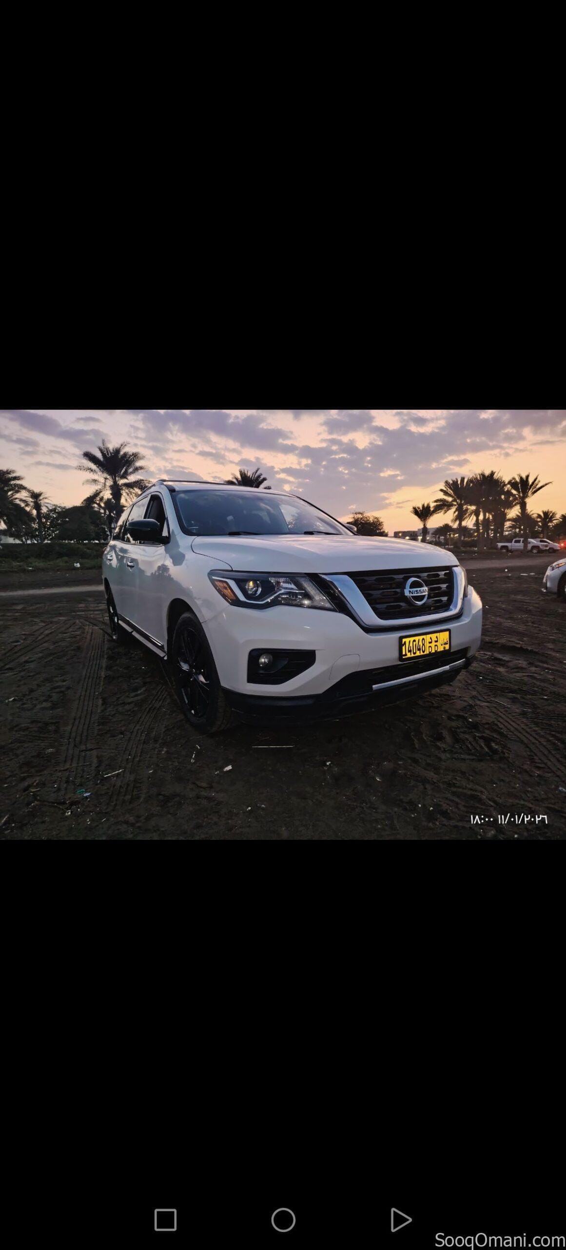 باثفيندر 2017 بلاتينيوم