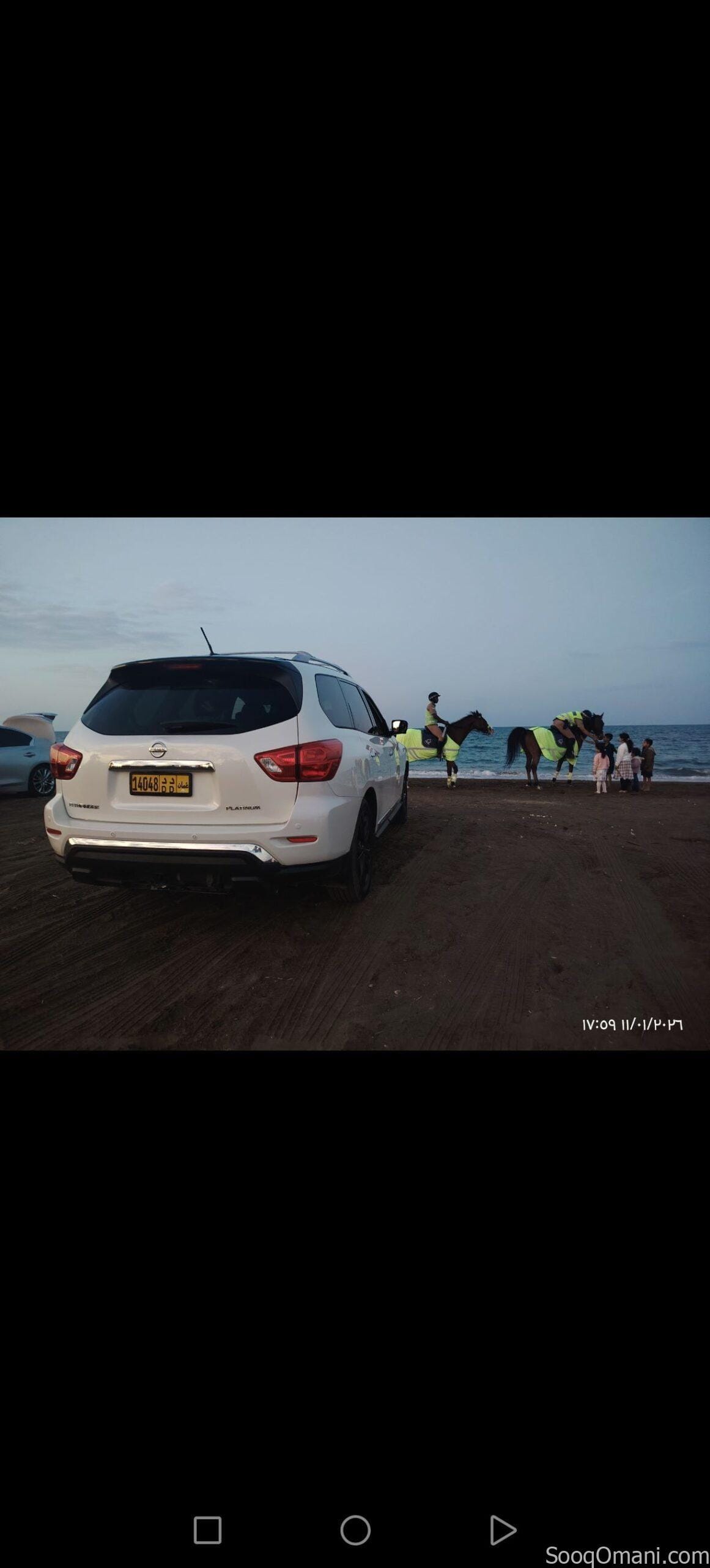 باثفيندر 2017 بلاتينيوم