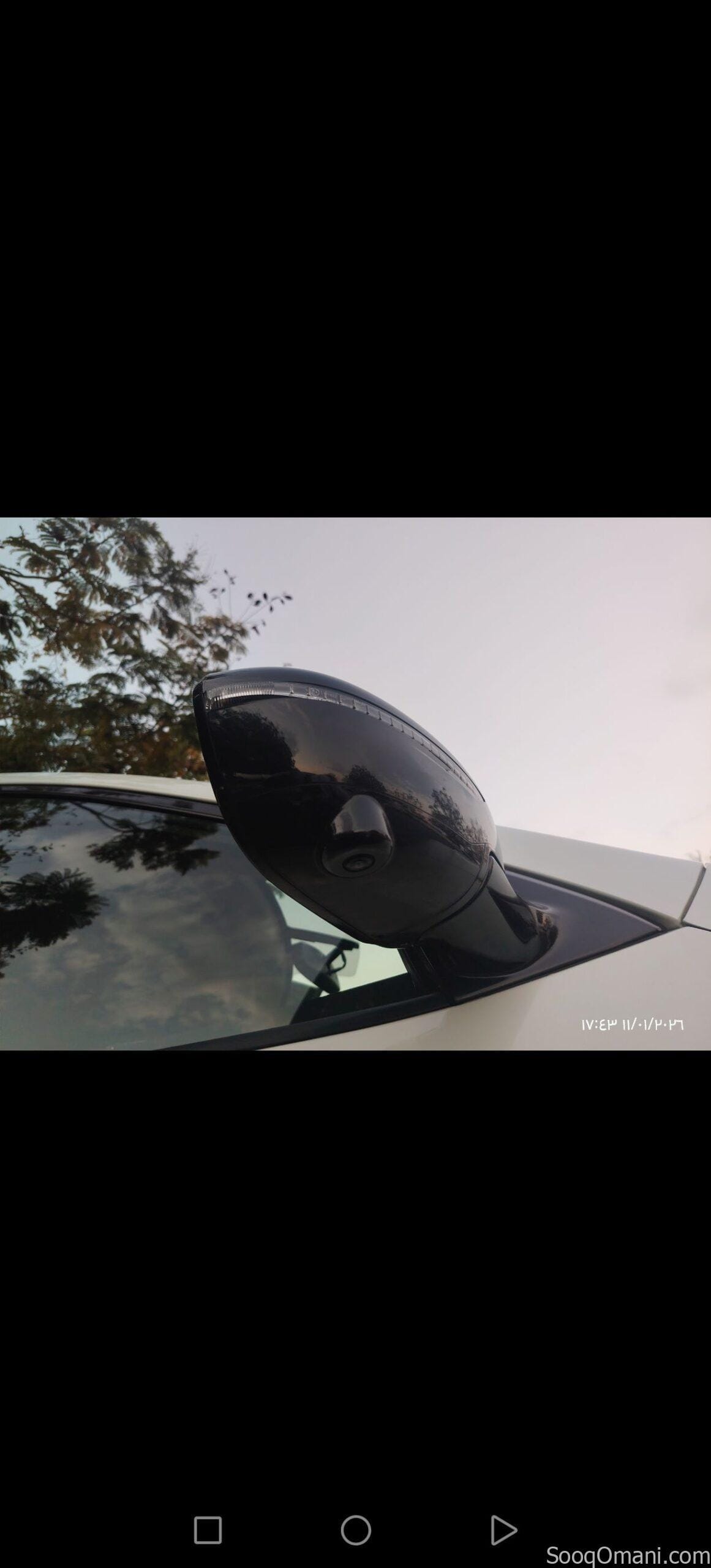 باثفيندر 2017 بلاتينيوم