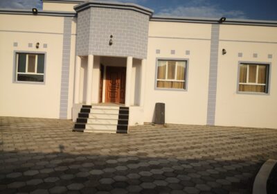 8a763f16-aa72-4342-be8d-5490a6c5344f-1