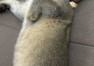 b31f340f-d1ef-4ad2-970f-292b9d8428d9