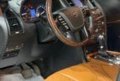 نيسان بترول بلاتينيوم للبيع نظيف ومسرفس