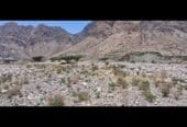 للبيع ارض سكنية في العامرات،مرتفعات 8/1