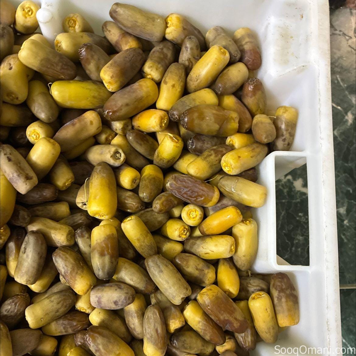 تمور للبيع