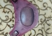Nissan Pickup Spare Parts