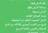 ارض ســكنــيه في ولاية بركاء الرميس