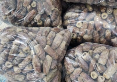 bd042a2f-2c55-4764-9cf2-361fac0e793e