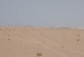 ارض زراعية للايجار السنوي – Agricultural land for annual rent