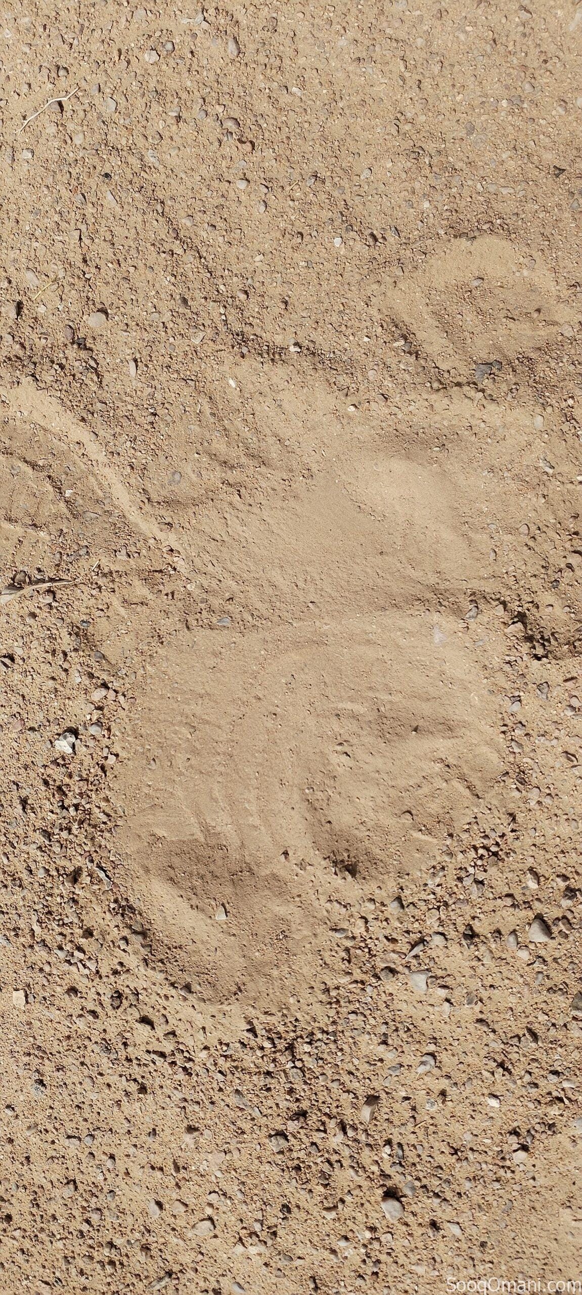 ارض زراعية للايجار السنوي – Agricultural land for annual rent