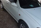 نيسان صني 2004