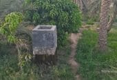 Agricultural land for sale in Al Dhahirah, Dhank