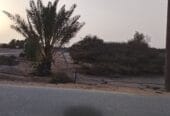 ارض للايجار في حكبيت – Land for rent in Hakbit