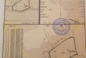Agricultural land for sale in Al Dhahirah, Dhank