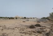 ارض للايجار في حكبيت – Land for rent in Hakbit