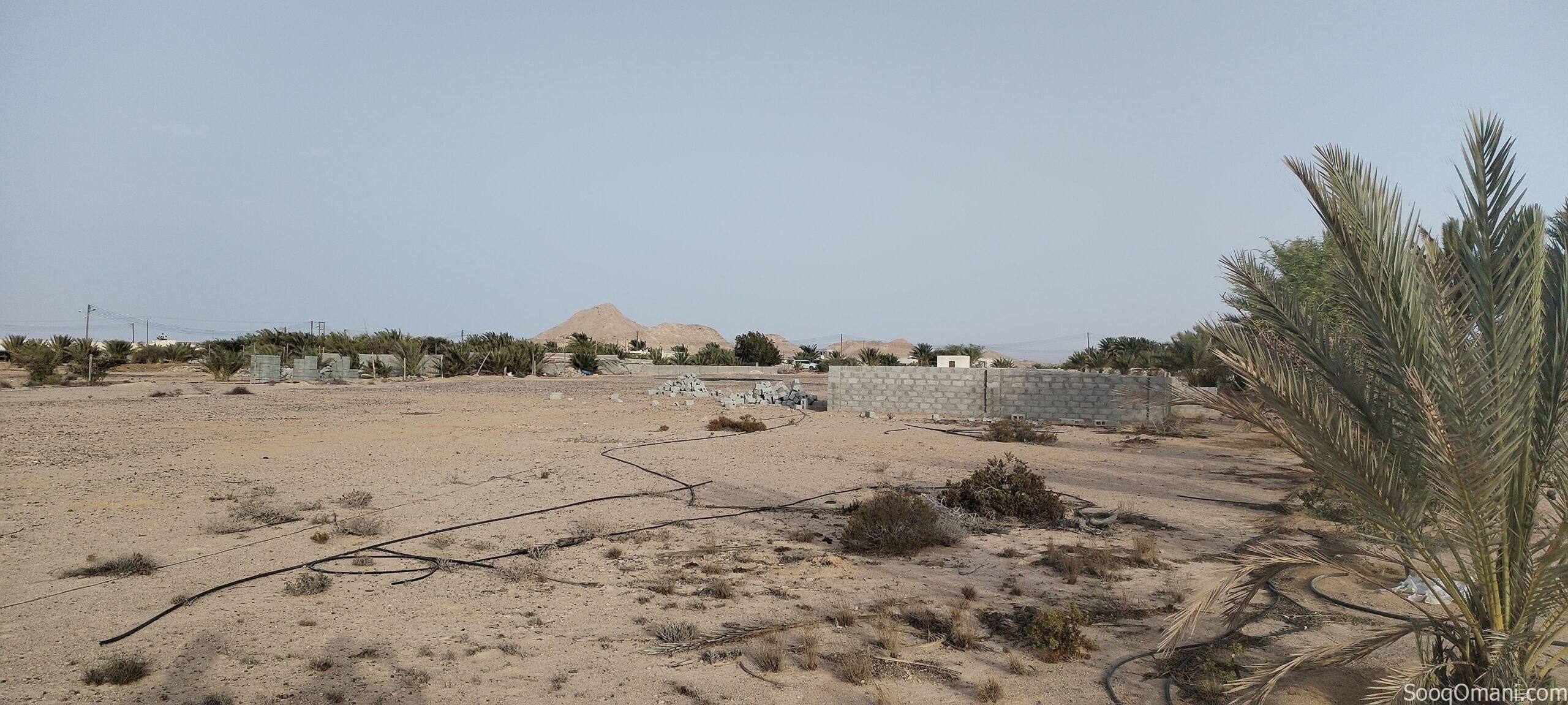 ارض للايجار في حكبيت – Land for rent in Hakbit