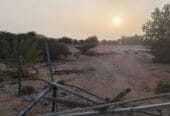 ارض للايجار في حكبيت – Land for rent in Hakbit