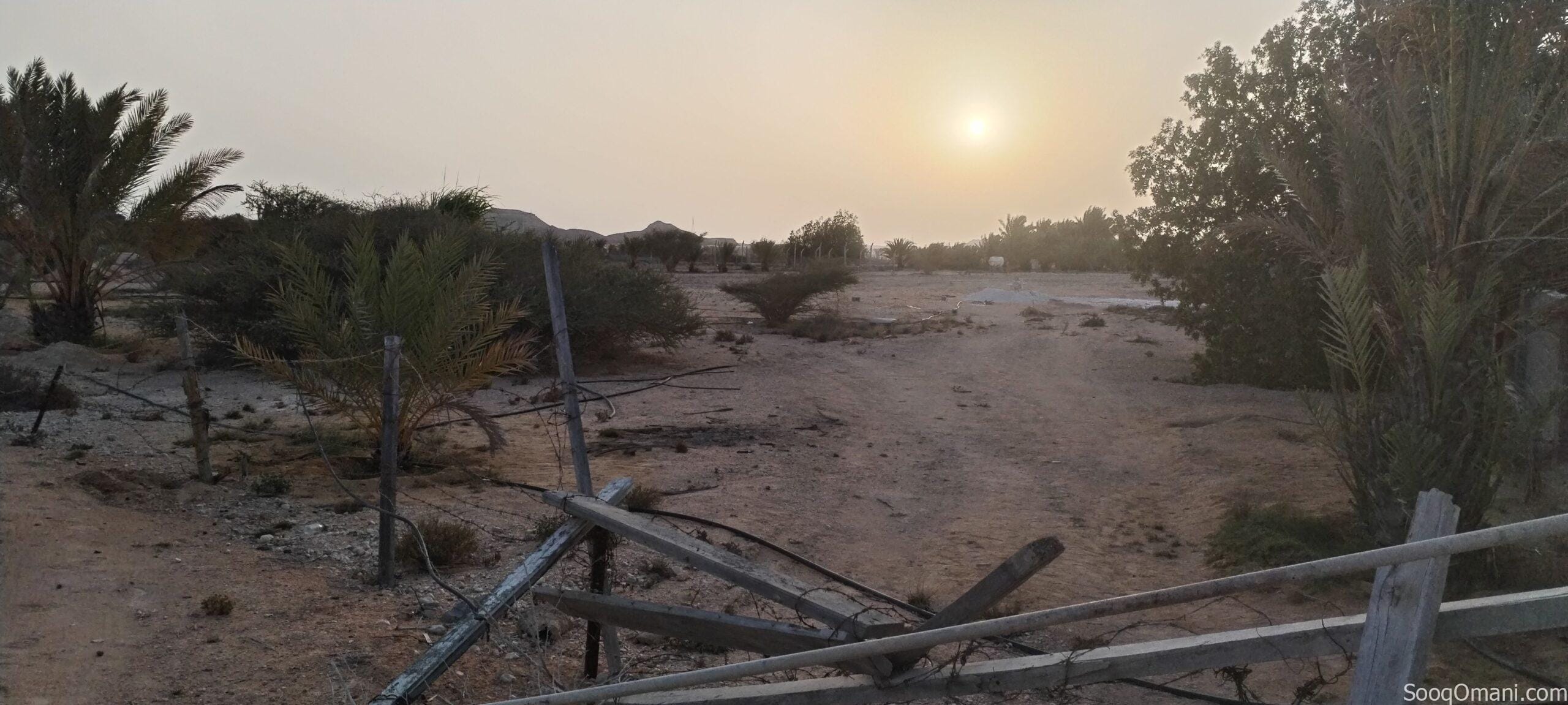 ارض للايجار في حكبيت – Land for rent in Hakbit