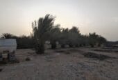 ارض للايجار في حكبيت – Land for rent in Hakbit