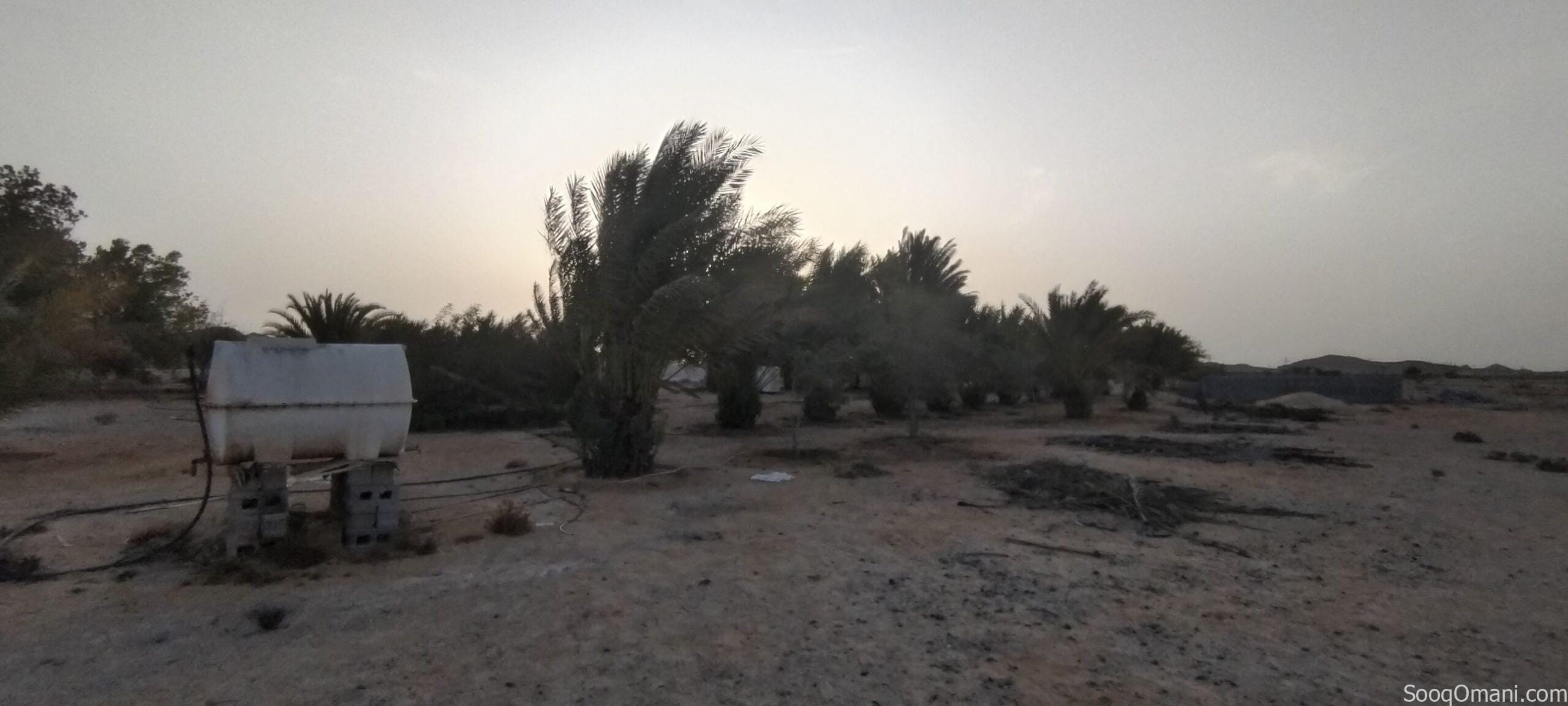 ارض للايجار في حكبيت – Land for rent in Hakbit