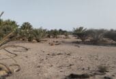 ارض للايجار في حكبيت – Land for rent in Hakbit