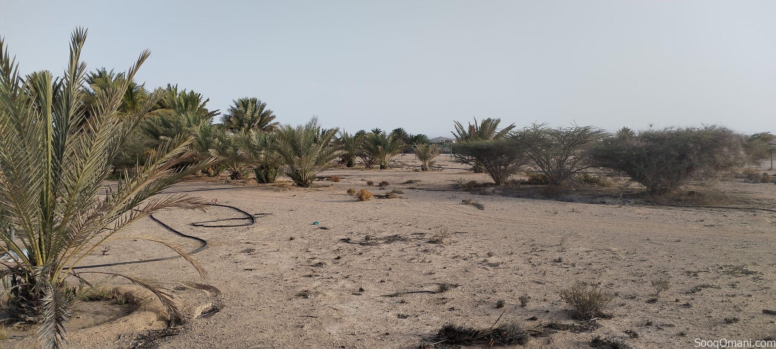 ارض للايجار في حكبيت – Land for rent in Hakbit