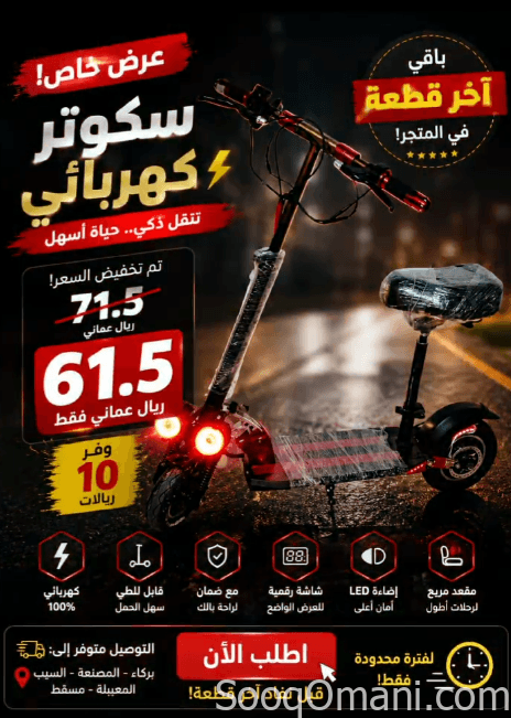 سكوتر Winnersky الكهربائي