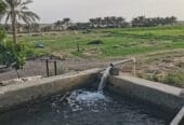 أرض زراعية للبيع الظاهره ضنك
