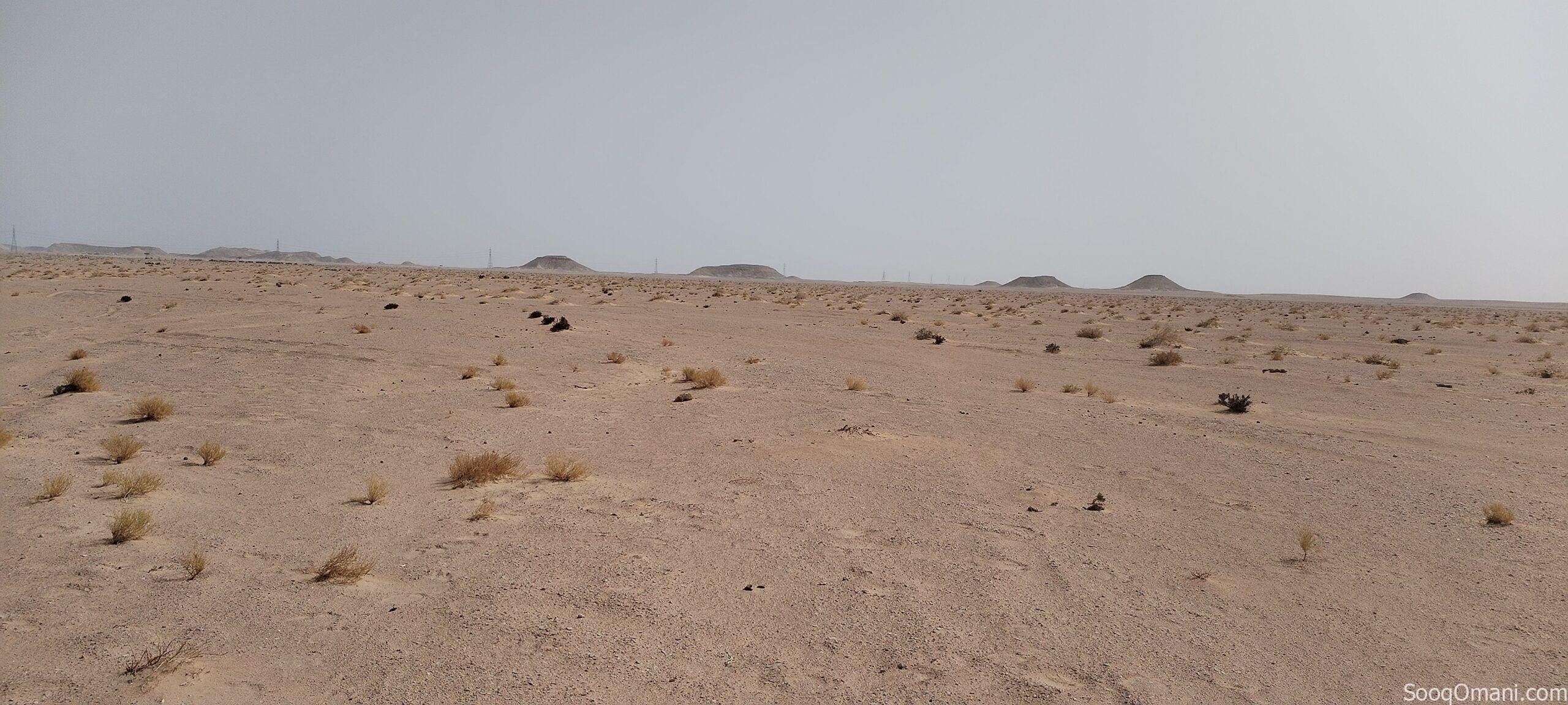ارض زراعية للايجار السنوي – Agricultural land for annual rent