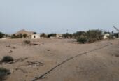 ارض للايجار في حكبيت – Land for rent in Hakbit