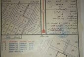 Land for sale in Al-Suwaiq, Shater 7, beginning of the plan