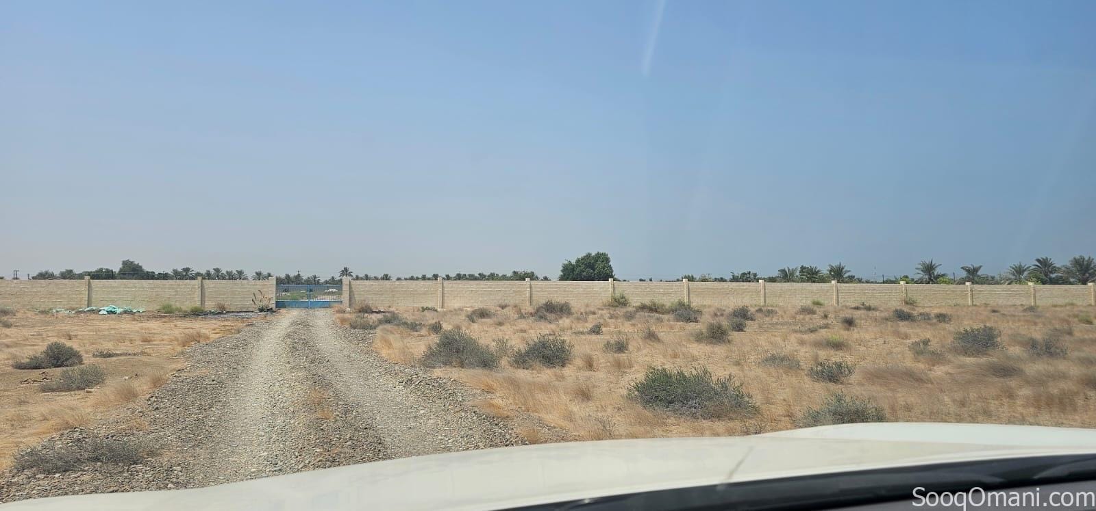 مزرعة للإيجار – ولاية السويق Farm for Rent – Al Suwaiq