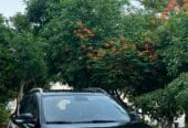 MG ZS 2022