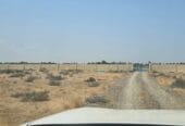 مزرعة للإيجار – ولاية السويق Farm for Rent – Al Suwaiq