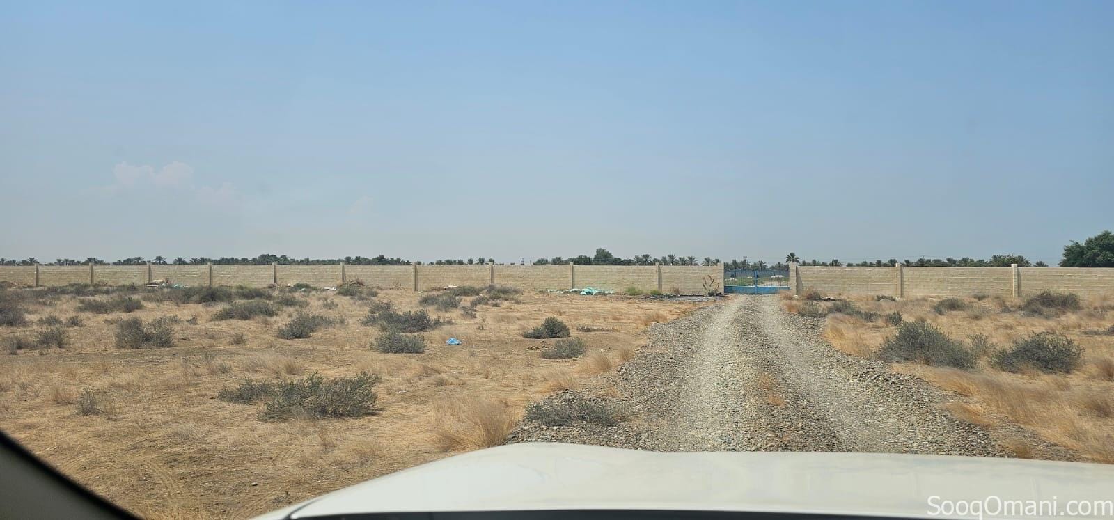 مزرعة للإيجار – ولاية السويق Farm for Rent – Al Suwaiq