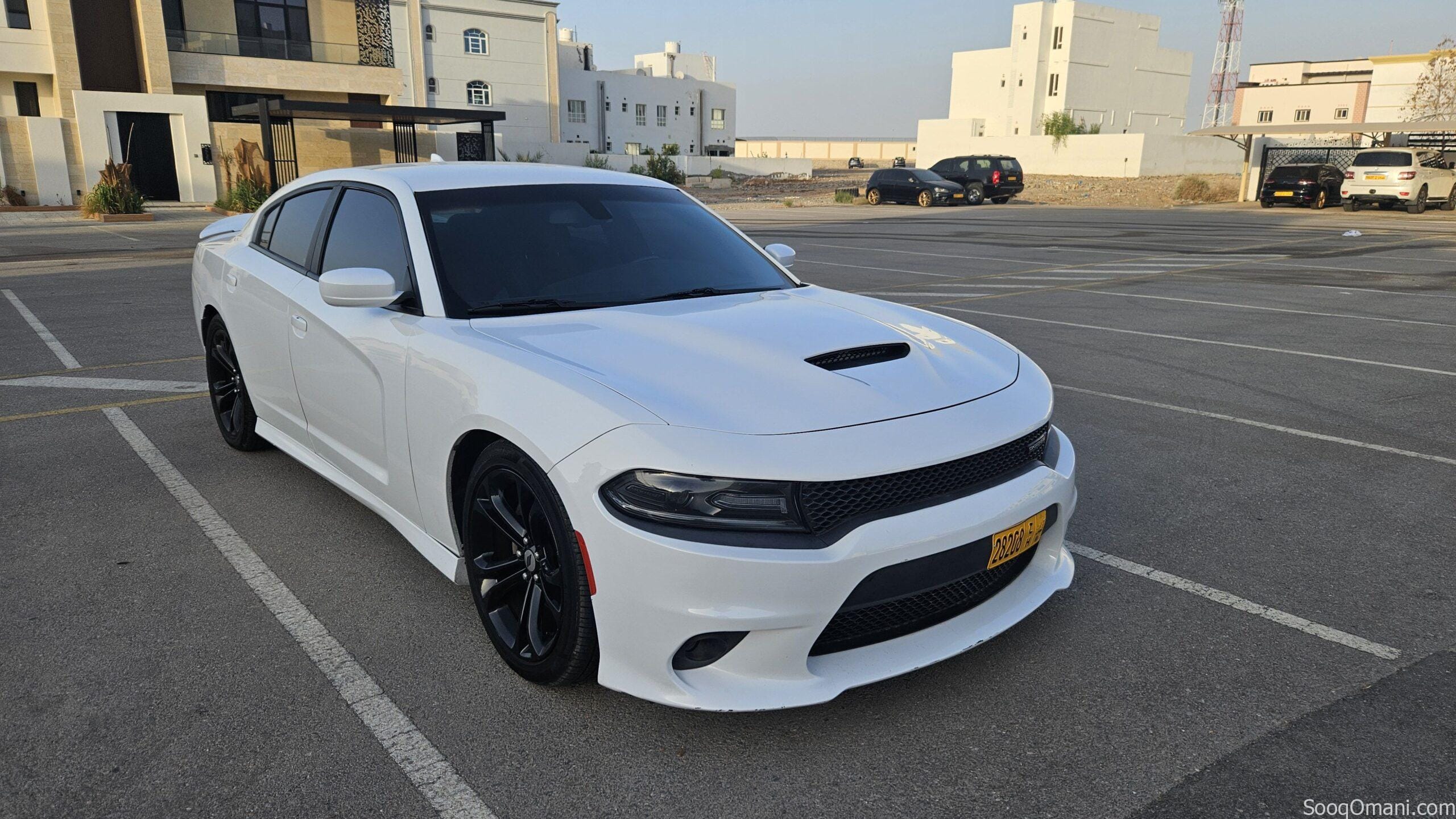 Dodge Charger RT 2019
