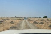 مزرعة للإيجار – ولاية السويق Farm for Rent – Al Suwaiq