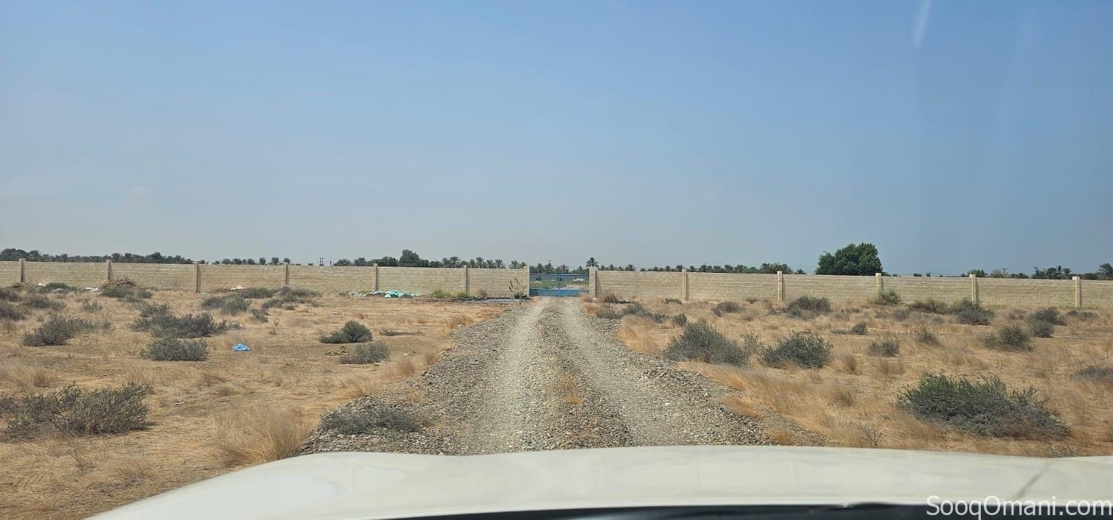 مزرعة للإيجار – ولاية السويق Farm for Rent – Al Suwaiq