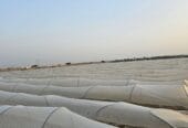 مزرعة للإيجار – ولاية السويق Farm for Rent – Al Suwaiq