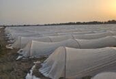 مزرعة للإيجار – ولاية السويق Farm for Rent – Al Suwaiq