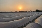 مزرعة للإيجار – ولاية السويق Farm for Rent – Al Suwaiq