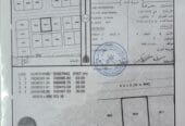 Land for sale in Barka, Al-Fulaij Al-Ma’moura
